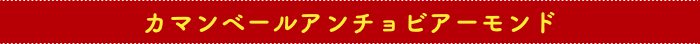 カマンベールアンチョビアーモンド