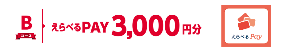 Bコース えらべるPAY 3,000円分