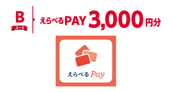 Bコース えらべるPAY 3,000円分