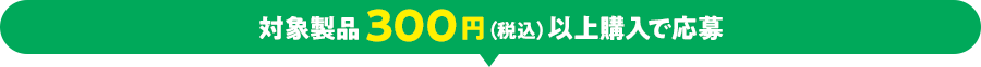対象製品300円（税込）以上購入で応募